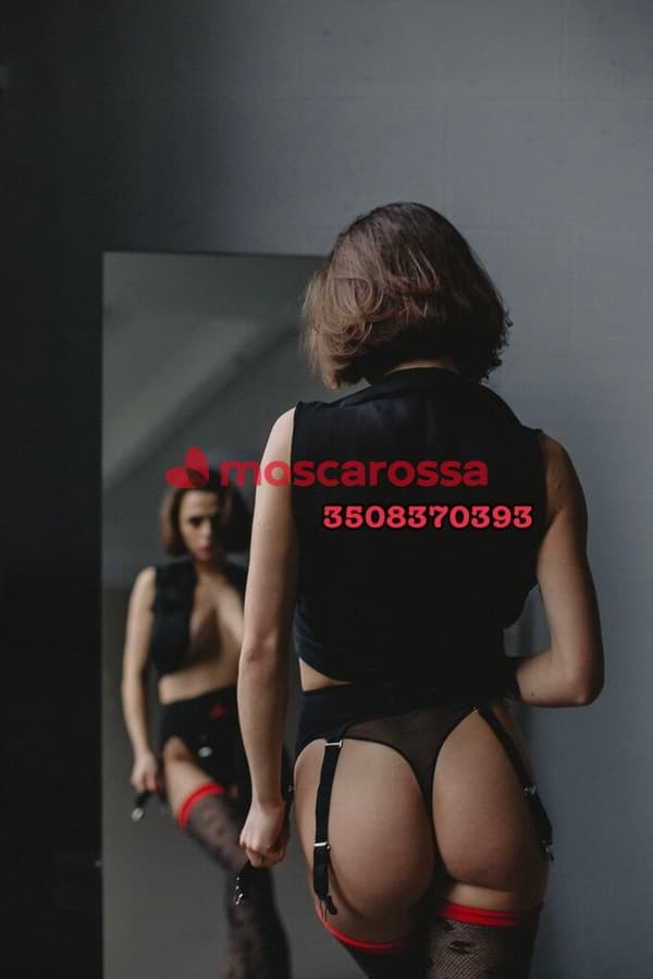 3508370393