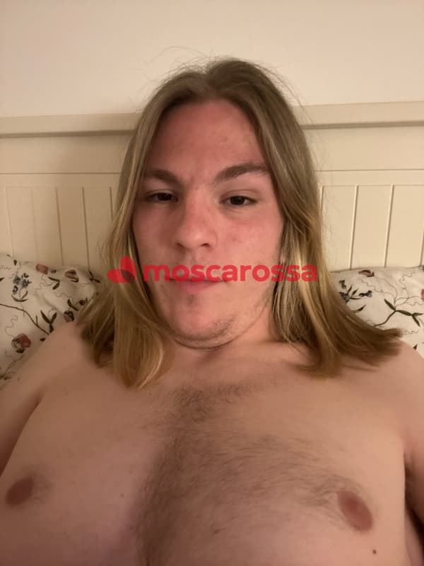 3889260075
