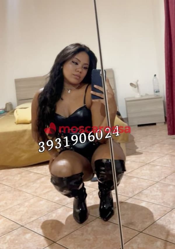 3931906024