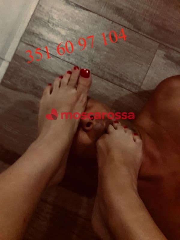 3516097104