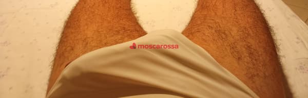 3347162447