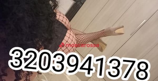 3203941378