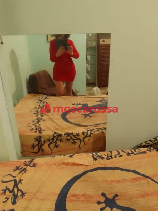 3496473807