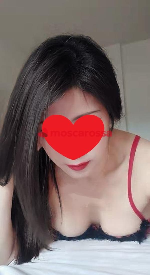 3778495192