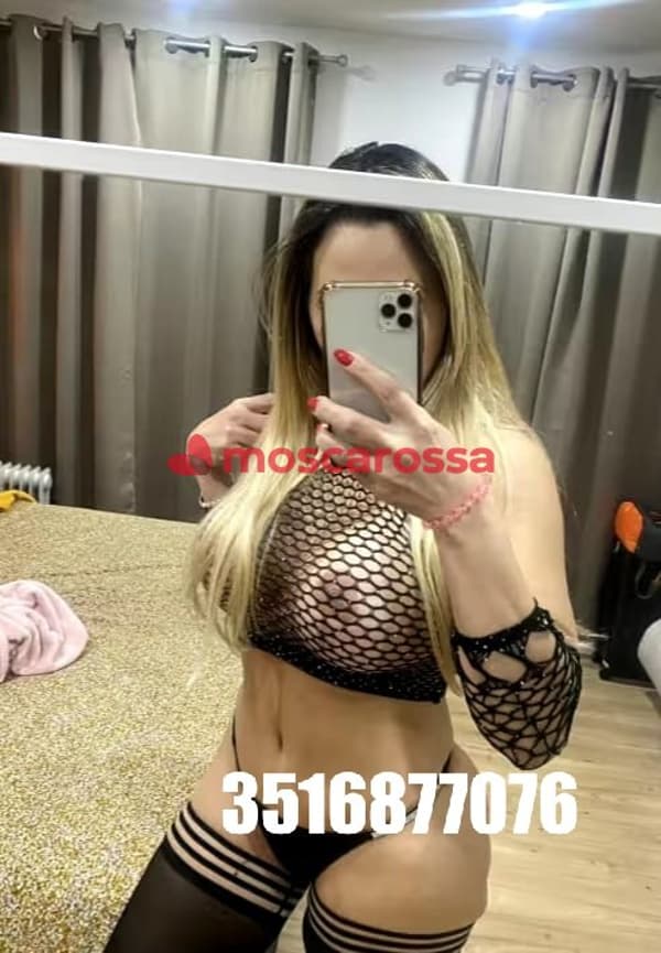 3516877076
