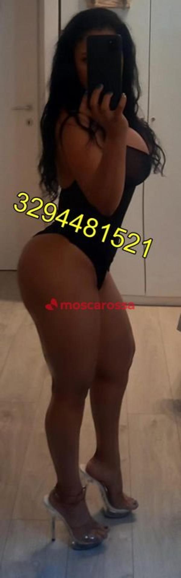 3294481521