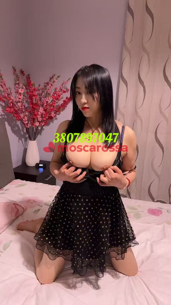 3807897047