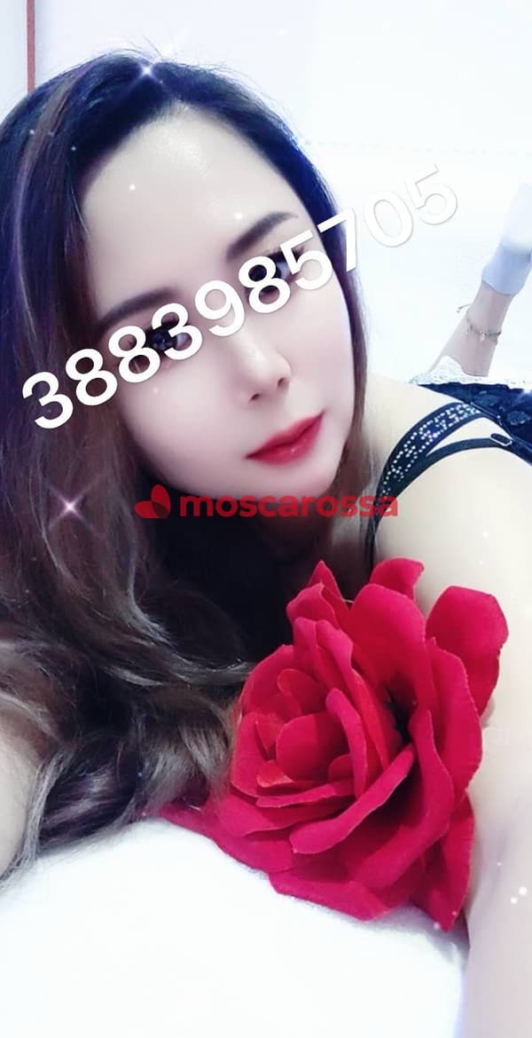 3883985705