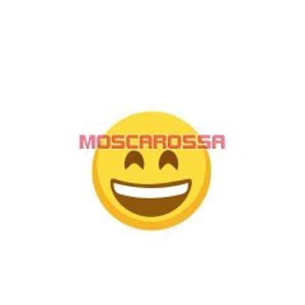 foto 3333135577