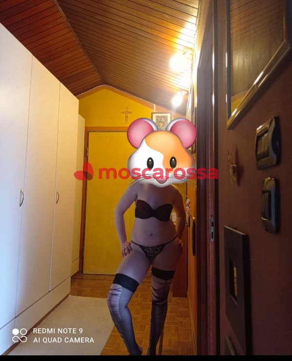 foto 3533347820