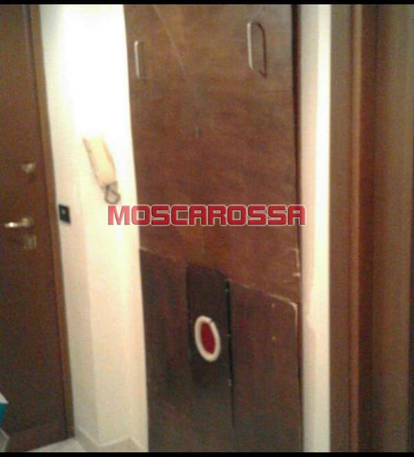 foto 3889580181
