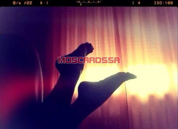 foto 3894223051