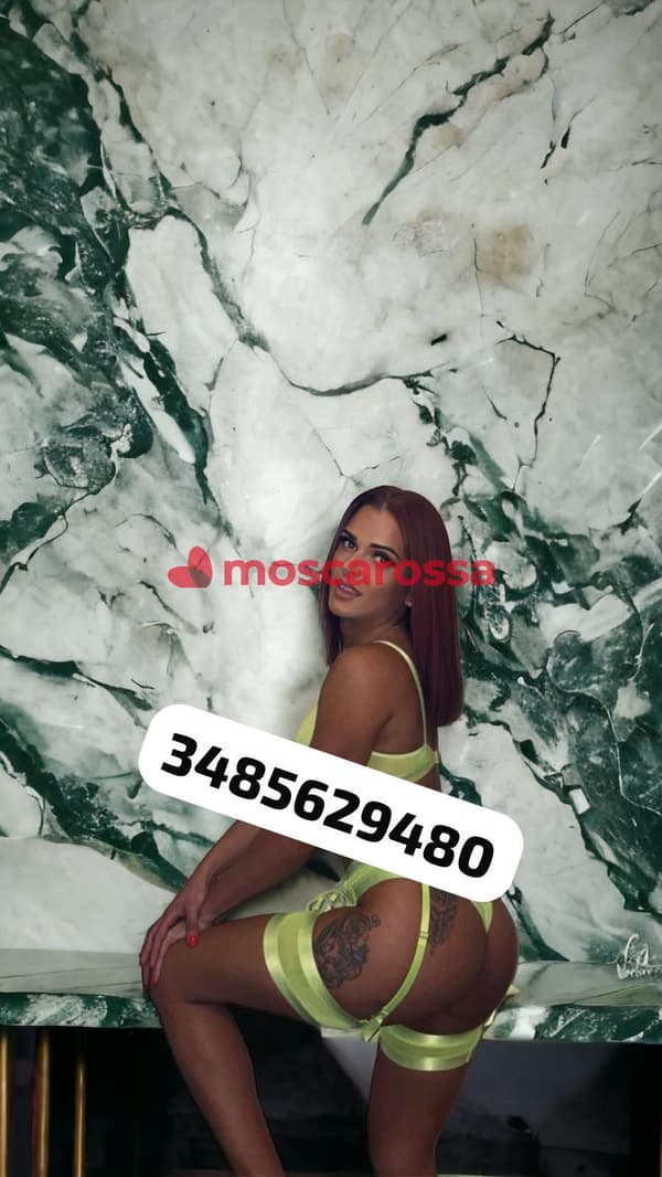 3485629480