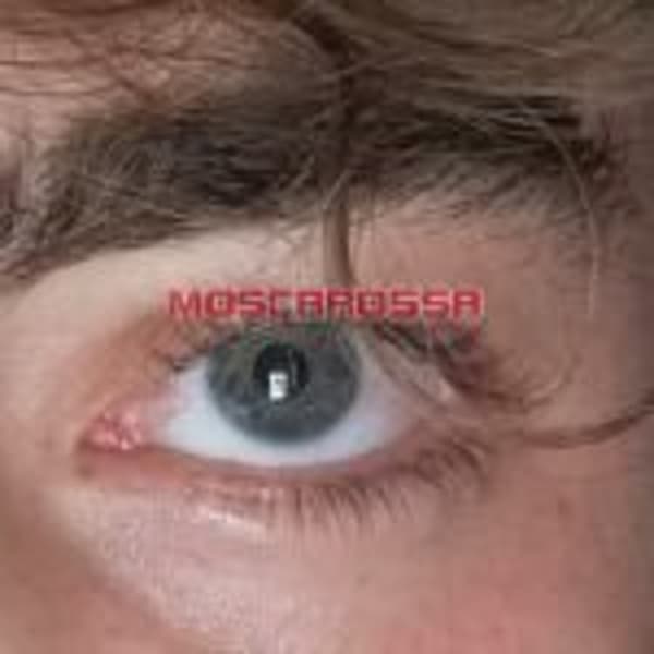 foto 3938834692