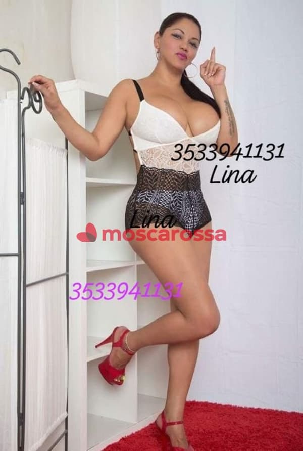 3533941131