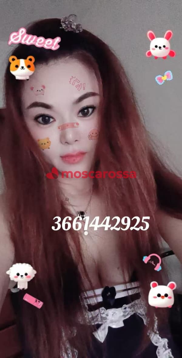 3661442925