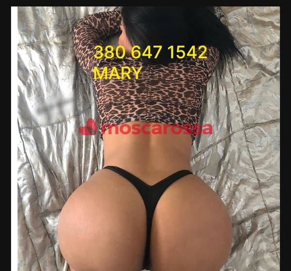 3806471542