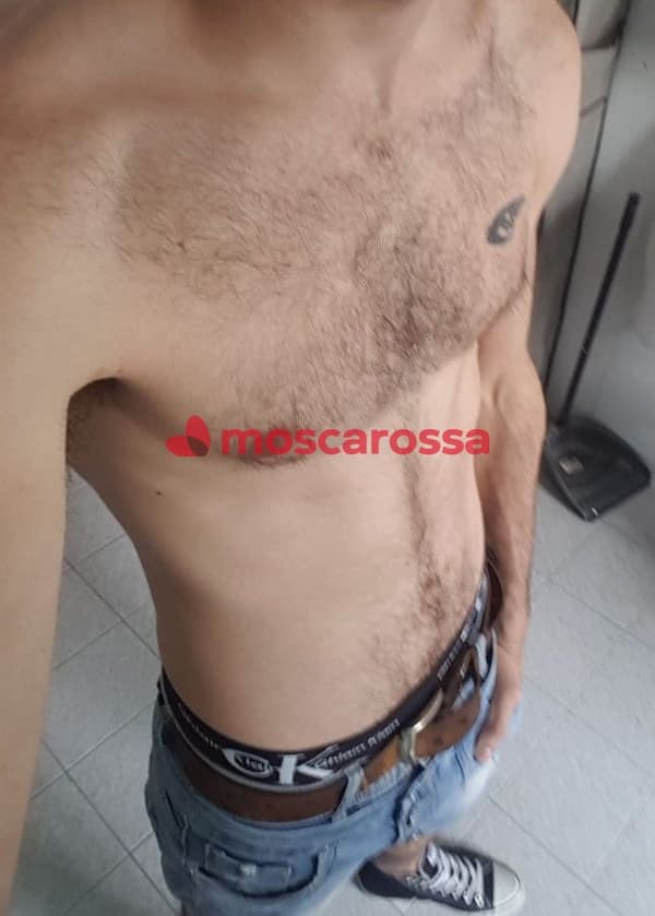 foto 3463768966