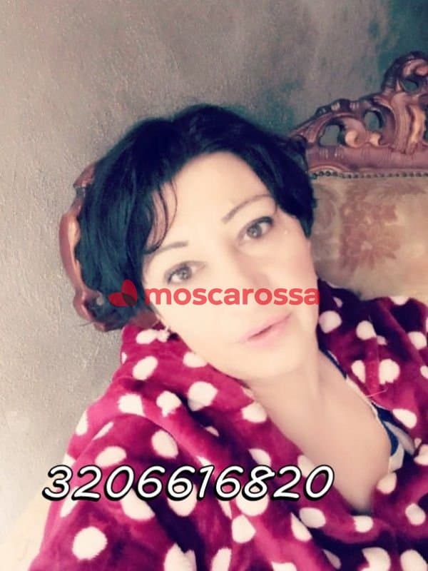 3665040918