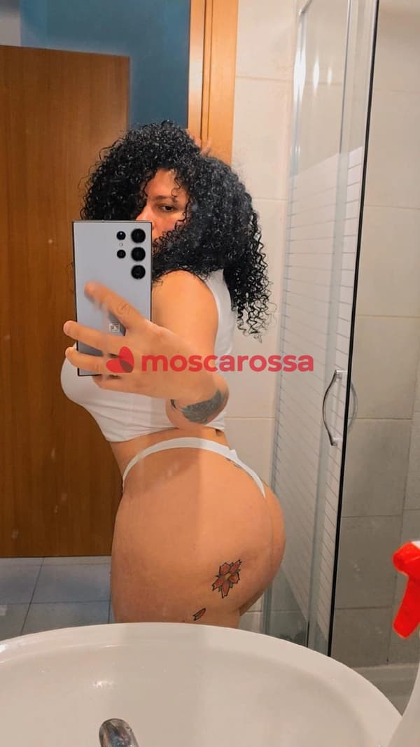 3532109404
