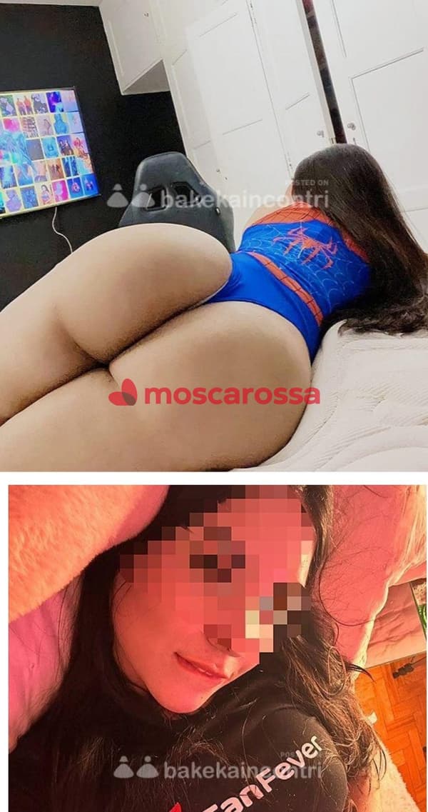 foto 3509558382