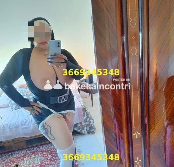 3669345348
