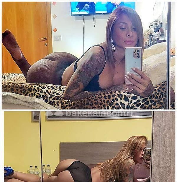 3396743933