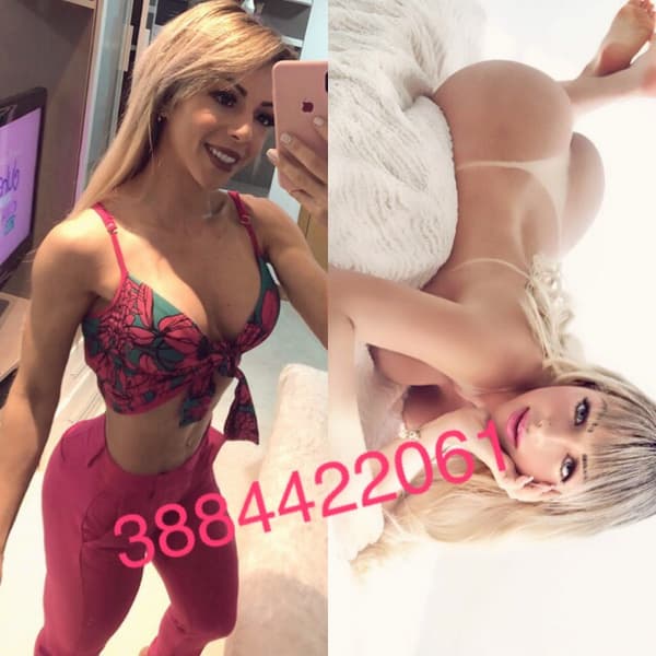 3884422061