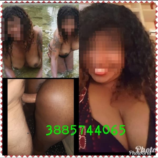 3885740465