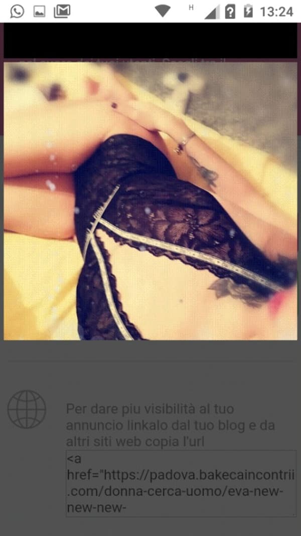 3295628019