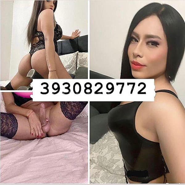 3896051283