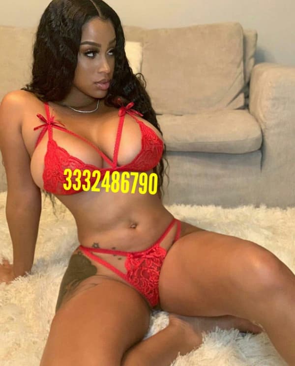 3392486790