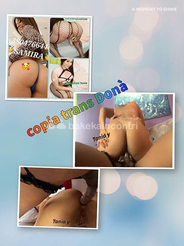 foto 3475144969