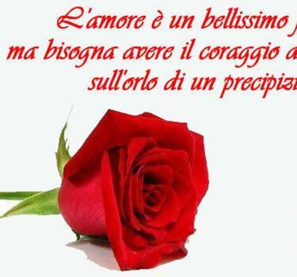 foto 3271138757
