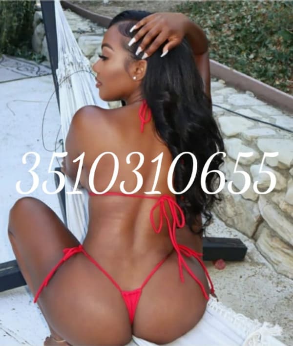 3510310655