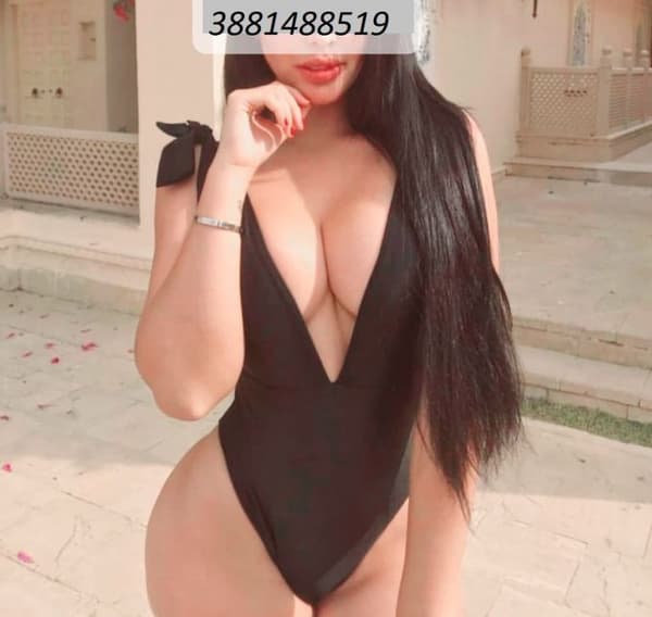 3881488519