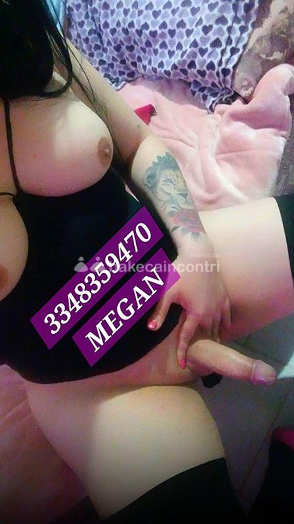 foto 3348359470