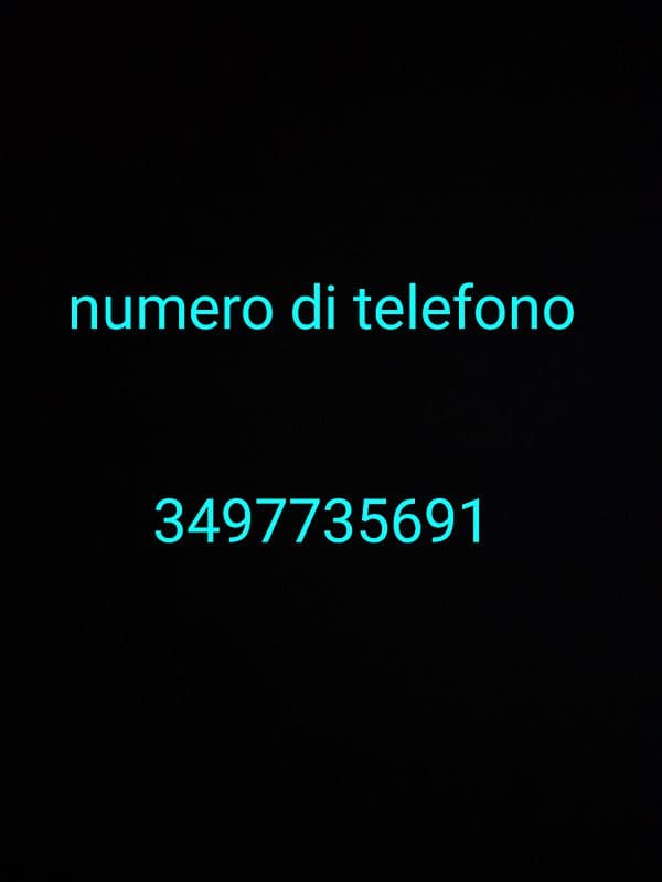 foto 3497735691
