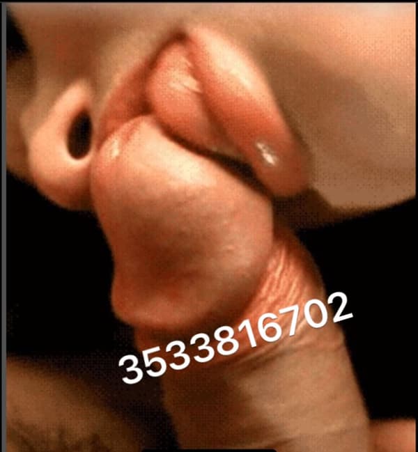 3533816702