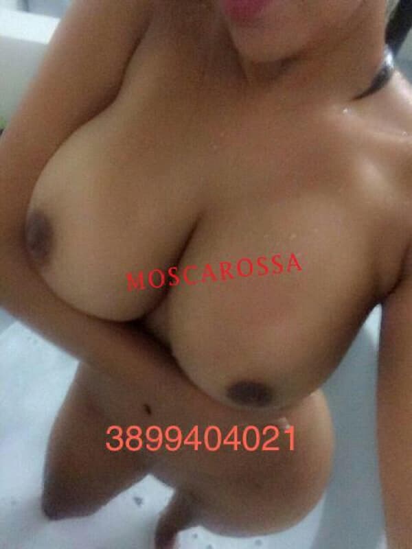 3890404021