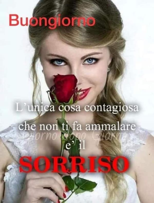 foto 3773398894