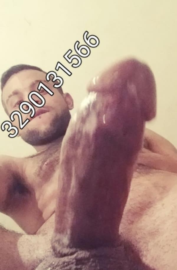 3290131566