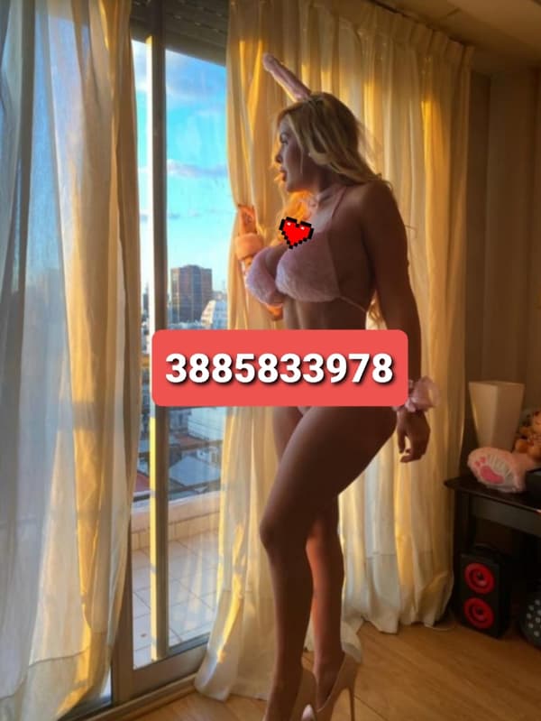 3885833978