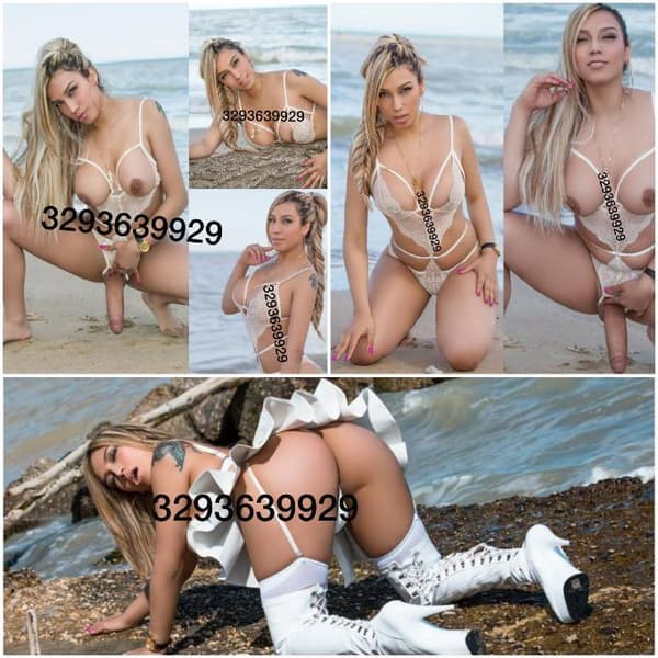 3393639929