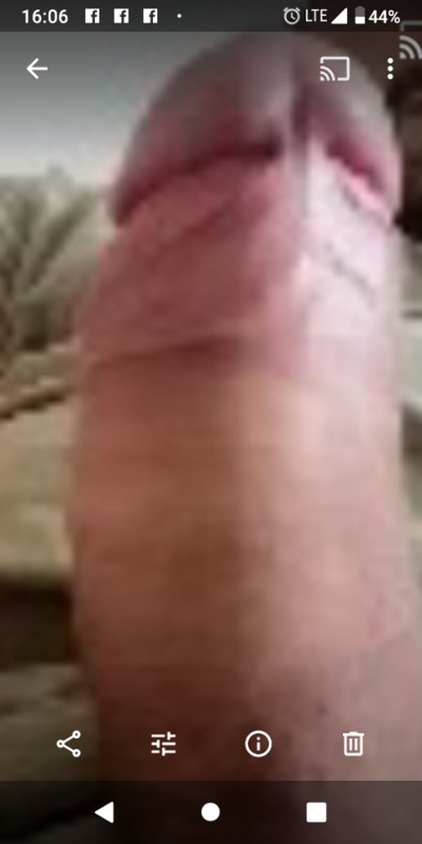 foto 3393567431