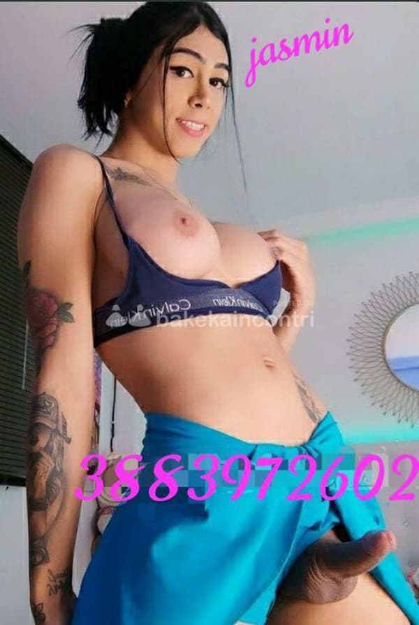 3883972602