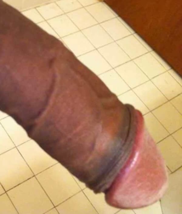 3292023953