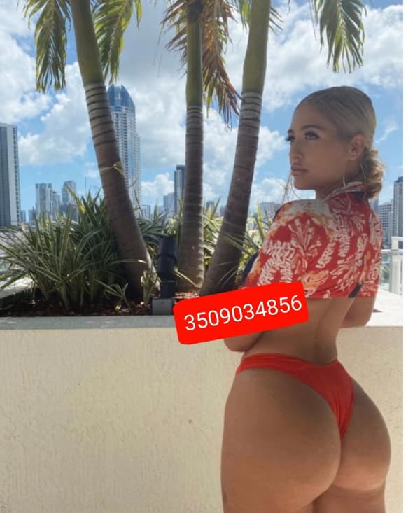 3509034856