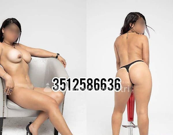 3512586636
