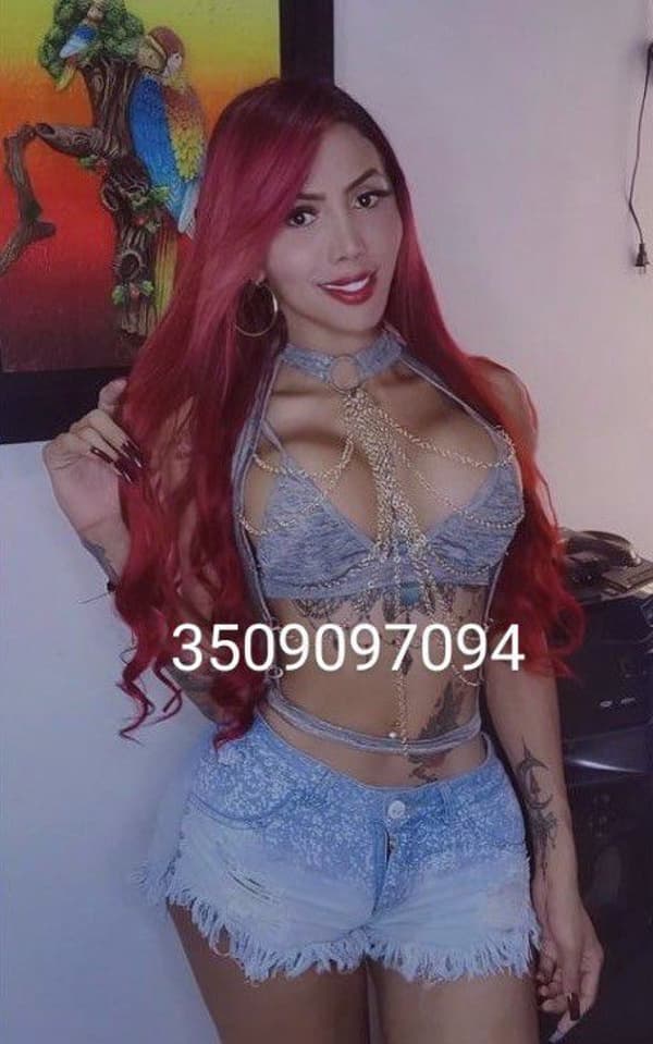3509097094